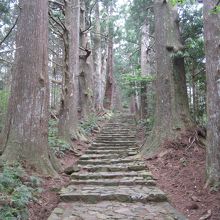 ここから厳かな石段が続く