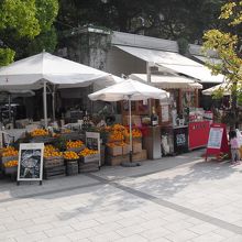 このようなカフェもありました