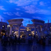 ブルーの照明は暗めで幻想的。