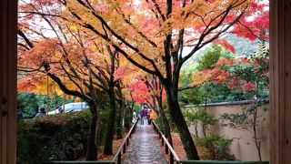 雰囲気が良かった