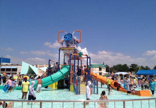 稲毛海浜公園プール クチコミ アクセス 営業時間 幕張 フォートラベル 稲毛海浜公園プール クチコミ アクセス 営業時間 幕張 フォートラベル
