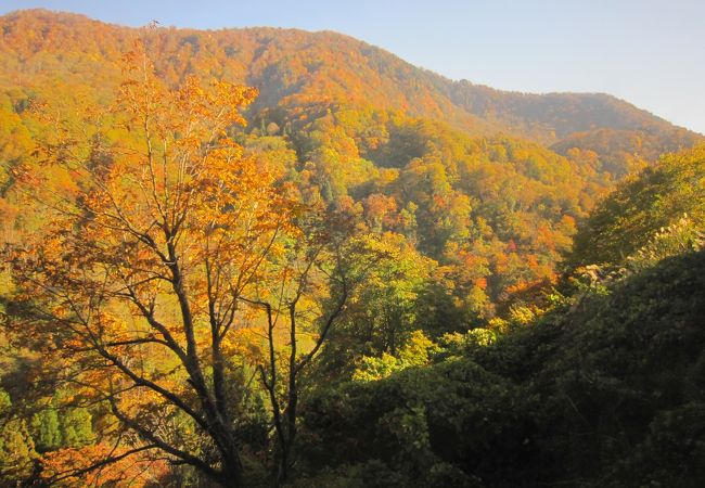 紅葉がすばらしい