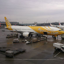 成田ターミナル２の所定位置に到着した、黄色いスクート。