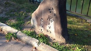 琵琶湖疏水も綺麗です!!