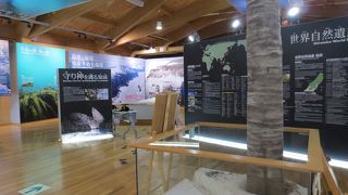 知床について学べる