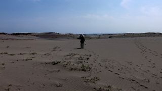 エメラルドブルーの海と大量の砂