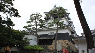 徳川家康のお城！！