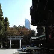 新宿中央公園の裏手にある静かめな神社
