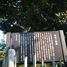 榎の木と案内板があります。