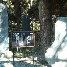 石碑の横に案内板があるので、なんとか気づけました。