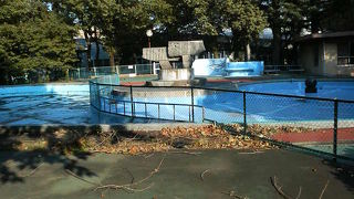 カラスや虫が多かったです。