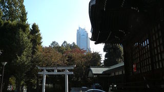 新宿中央公園の裏手にある静かめな神社