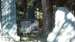 江戸の頃は新宿都心が有数の景勝地だったそうです