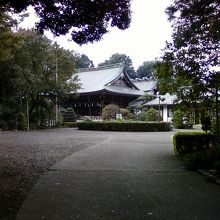 緑に囲まれた神社です。
