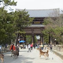 東大寺の入口、南大門は立派な建物