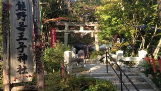 この辺りも紅葉が綺麗です!!