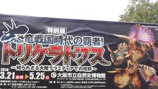 中学生以下無料