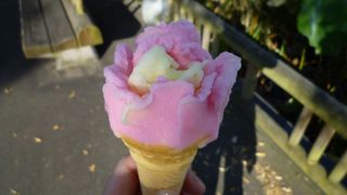 これも秋田名物！