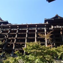 下から見上げても迫力あります。