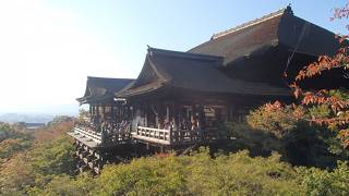 京都観光の定番中の定番！