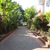 すぐにメコン川