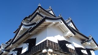 ひこにゃんで有名な彦根城。お庭も必見です。