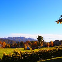 カフェから雄大な景色を楽しめます