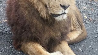 雨の日が意外に良い♪