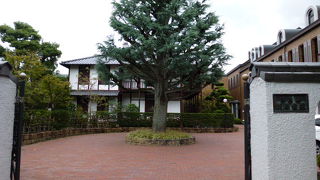 言わずと知れた