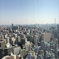 部屋からの眺望。遠くに富士山も見えます。