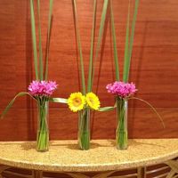 エレベーターホールにはこんな花が、、