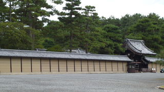 濃い緑が印象に残っています