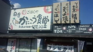 お客さんが多いです。