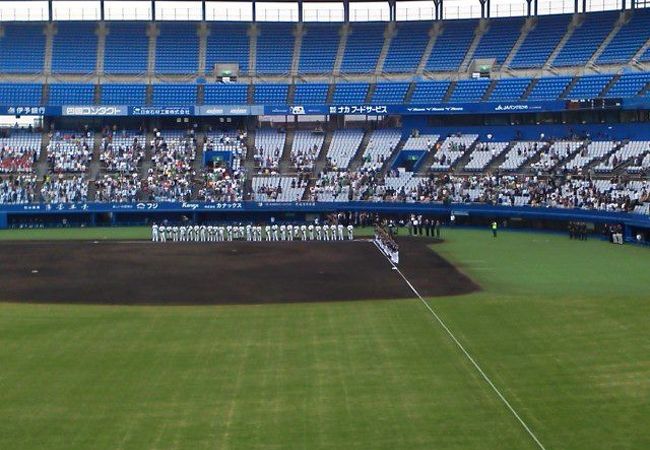 プロ野球公式戦開催レベルの本格球場