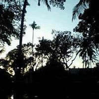 夕暮れ時のプールより庭を望む