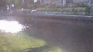 遠いが訪れる価値あり☆