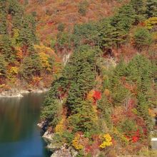 山の紅葉が奇麗