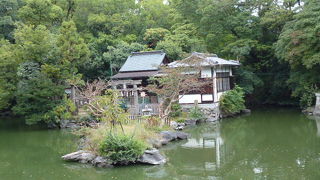 緑に囲まれています