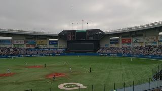 元祖日本のボールパーク