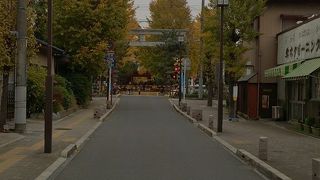 秋の銀杏が色ずく頃が最高