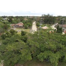 展望台から竹富島集落を望む。