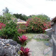 ある民家の庭です。