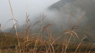 雨の曽爾高原