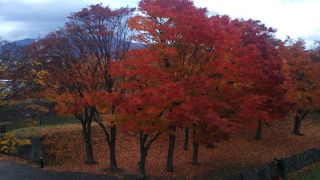 もう少し当時の建物を復元しても良いのでは？