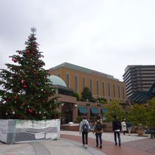 夜はきれい！なはず。