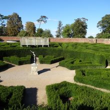 これが、メイズを上から見たところ