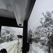 この雪のなか、行くことが出来て良かった！