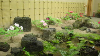 ぼたんは見事だが、なぜか高麗人参推しの人口庭園