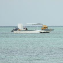 沖には一艘の小舟がいた。