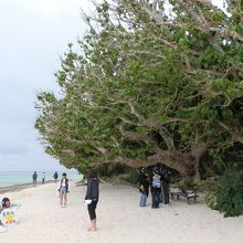 星砂浜にいた乙女たち。